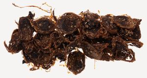 Mac Baren: Club Blend