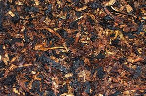 4noggins: Three Blind Moose