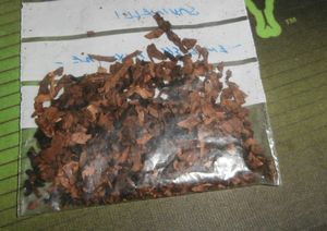 Savinelli: English Mixture